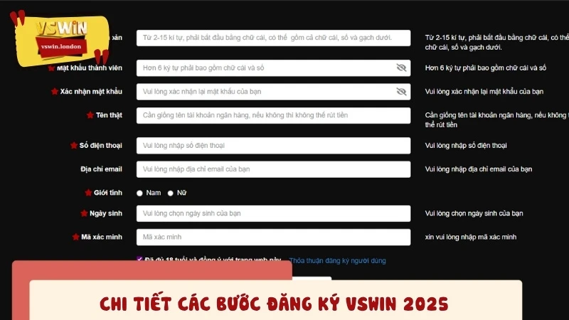 Chi tiết các bước đăng ký VSWIN 2025