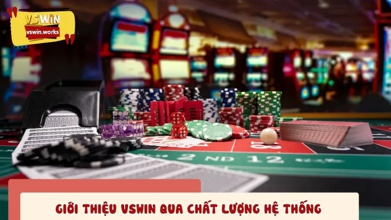 Giới thiệu VSWIN qua các thành tích đạt được