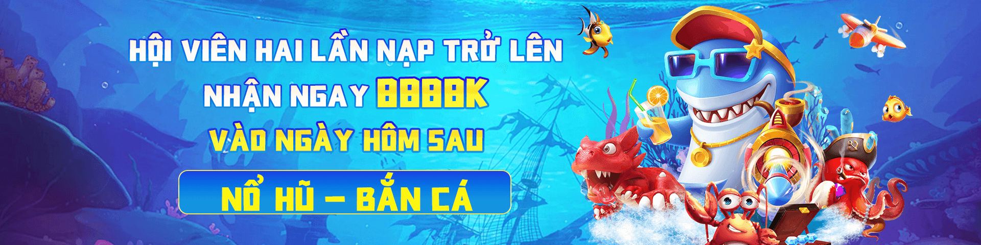 vswin-banner