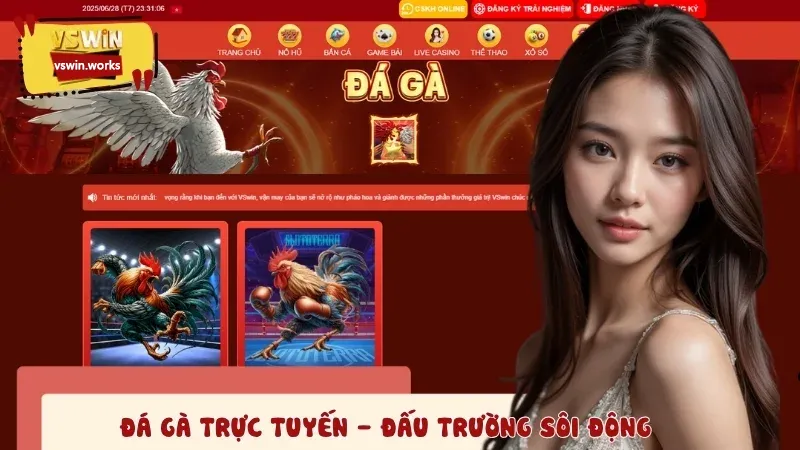 Đá gà trực tiếp tại đây sở hữu hàng ngàn lượt truy cập mỗi ngày