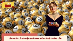 Cách Bắt Lô Rơi Hiệu Quả Mang Đến Cơ Hội Thắng Lớn