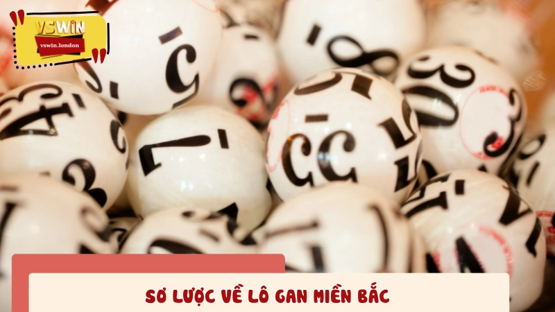 Giới thiệu sơ qua về lô gan miền Bắc