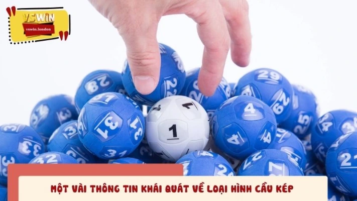 Một vài thông tin giới thiệu cơ bản về cầu kép