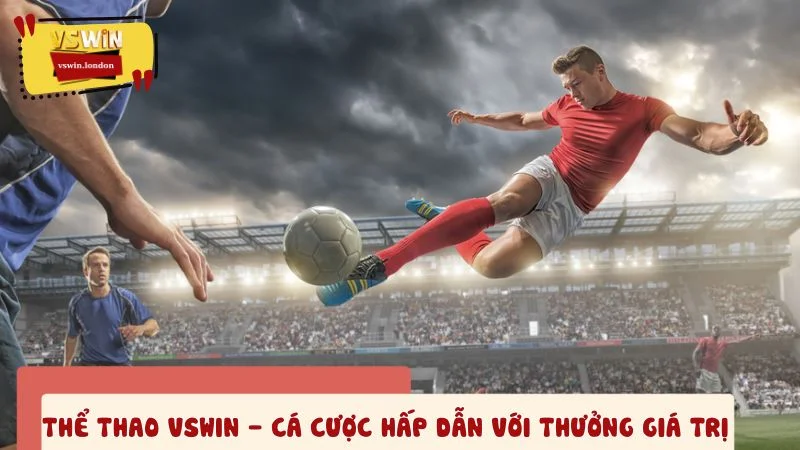 Thể thao VSWIN - Cá cược hấp dẫn với thưởng giá trị